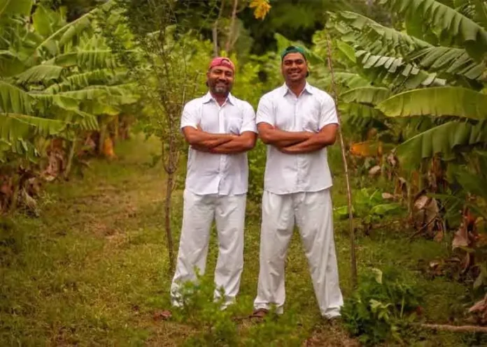 two brothers organic farm