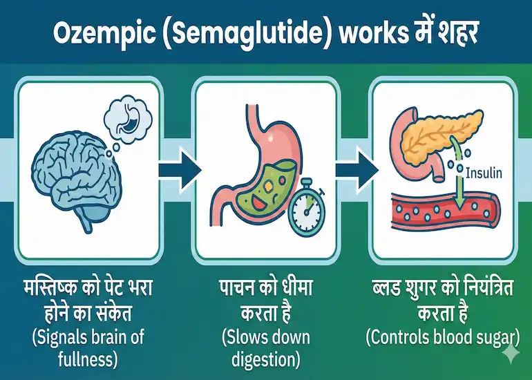 ozempic-semaglutide-weight-loss-mechanism-infographic